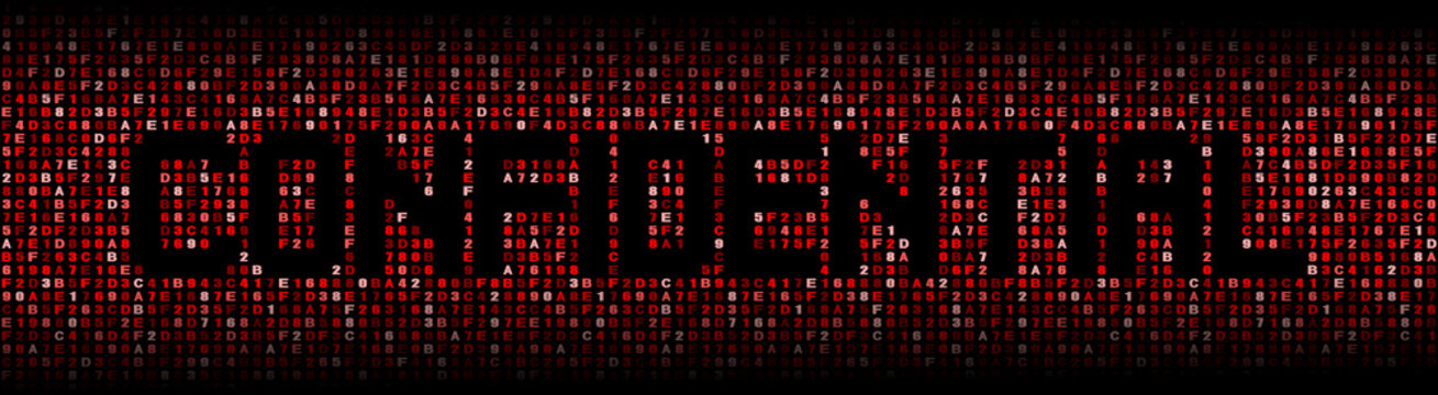 Confidential text on hex code illustration