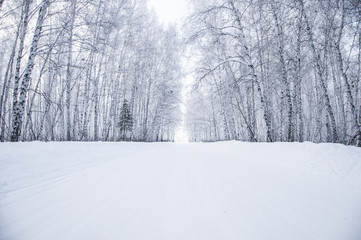 Obraz premium Winter russian forest snow road