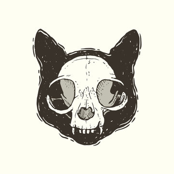 Cat skull sketch｜TikTok Search