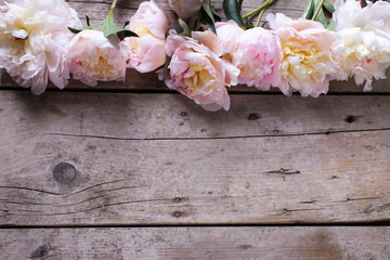 Border from tender pink  peonies flowers on aged wooden backgrou