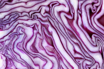 Blaukraut Rotkohl Kraut Kohl geschnitten Gemüse Hintergrund Tex