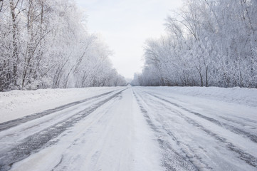 Obraz na płótnie Canvas Winter russian forest snow road