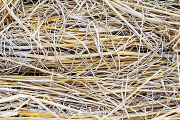 rice straw background