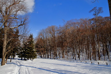 A park buried in the snow