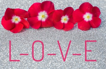 L-O-V-E words on small red flower and shiny white silver glitter background