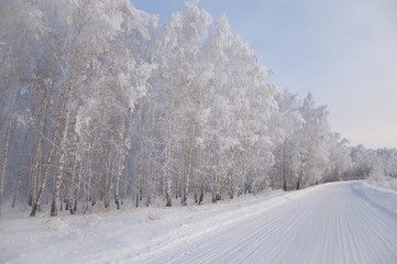 Winter russian forest snow road