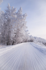 Winter russian forest snow road
