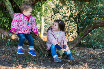 Two little girls sitting on the tree branches playing