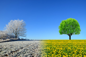 Obraz premium Winter and spring landscape with blue sky. Concept of change season.