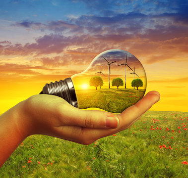 Hand holding eco light bulb with wind turbines at sunset. The concept of sustainable resources.