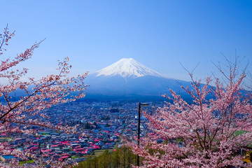 Mt. Fuji With Cherry Blossom (Sakura )in Spring, Fujiyoshida, Japan