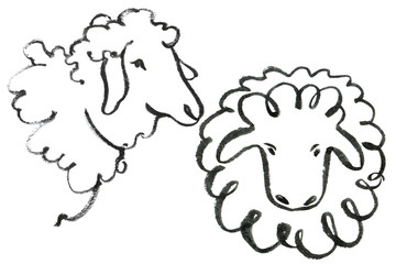sheep ink hand drawing illustration