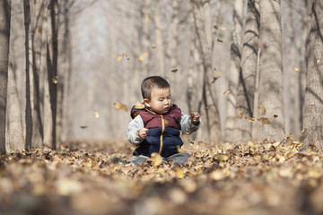 Chinese baby boy playing in ginkgo woods