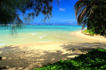 Island and beaches