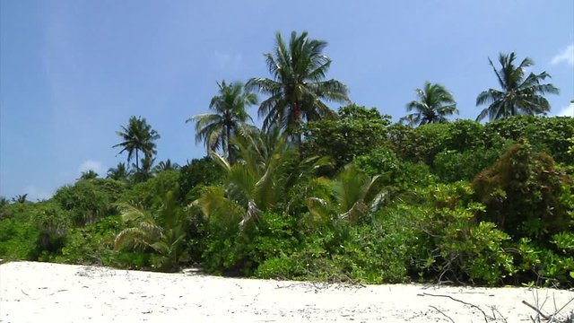 Tropical Beach in Seychelles