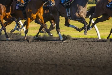 Fototapeten Horse Race bunte helle sonnenbeschienene langsame Verschlusszeit Bewegungseffekt schnell bewegende Vollblüter © Condor 36