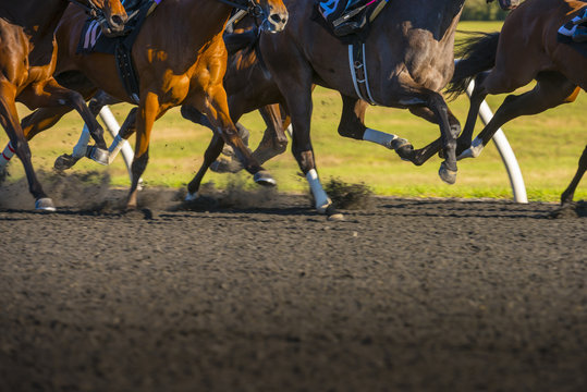 Fototapeta Horse Race colorful bright sunlit slow shutter speed motion effect fast moving thoroughbreds