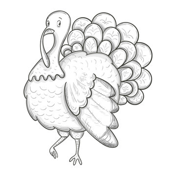 Monochrome sketch style illustration of turkey, traditional thanksgiving symbol. Vector.