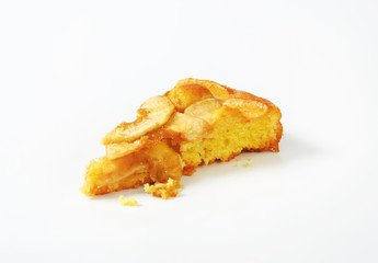 slice of apple sponge cake