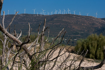 Wind turbines, Tarifa, Andalusia, Spain.