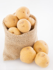 Yellow potatoes (Solanum phureja)