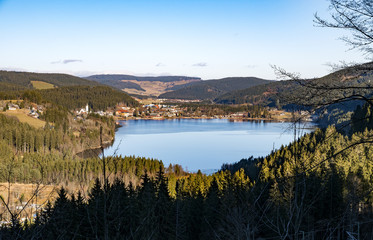 Blick aud den Titisee, Schwarzwald