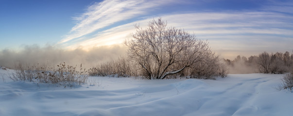 замерзшие кусты на берегу туманного озера зимой, Россия, Урал © 7ynp100