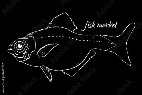 Fish Market Logo For Design Of Restaurant Menu Cover Shop Sign Or