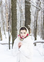 Fototapeta na wymiar Portrait of winter in the forest