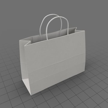 Bag Wire Handled Wide