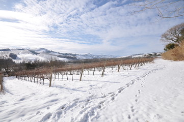 country landscape with snow