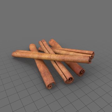 Cinnamon Sticks 01