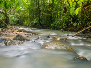 walk in the forest  to the waterfall
