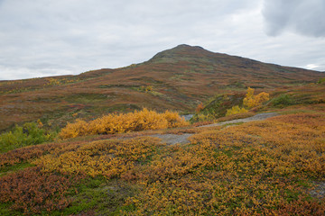 Mountain landscape in northern Sweden. Abisko national park