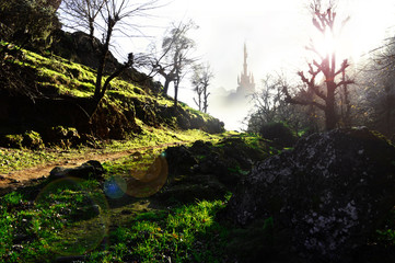 fairytale palace from old wood