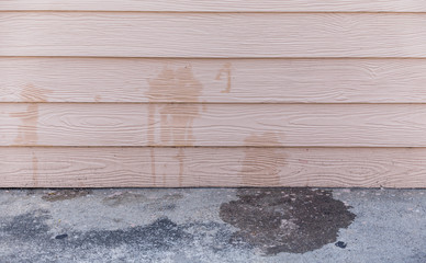 dog pee
