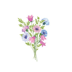 Flowers isolated. Floral summer bouquet. Meadow nature decor with cornflower and bluebell