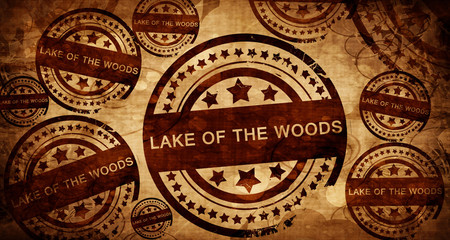 Lake of the woods, vintage stamp on paper background
