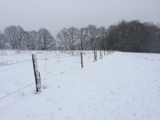 Weidezaun in verschneiter Naturlandschaft