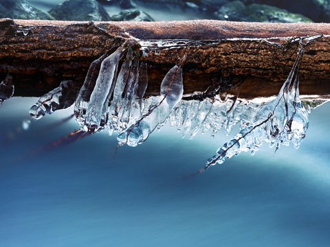 Icicles hang on twigs and icy bark above chilli rapid stream.