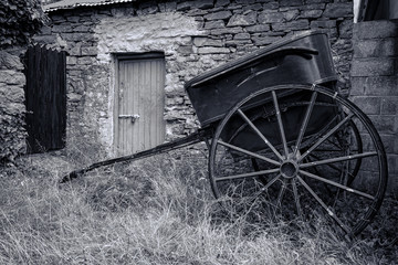 Fototapeta na wymiar Horse drawn buggy