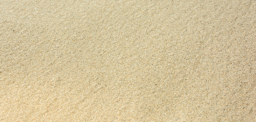Fototapeta na wymiar Sandy beach for background. Sand texture. Top view. Copy space.