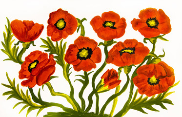 Obraz premium Red poppies