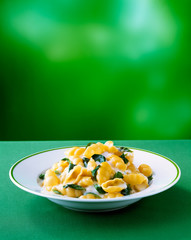 Pasta shell