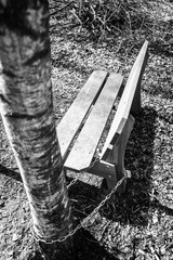 Chain locked bench