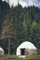 Asian yurt in the middle of the forest in the mountains