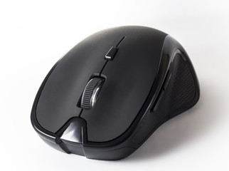 Computer mouse on a white background