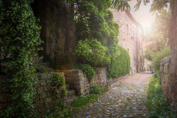 Flower filled streets of the old Italian city in Tuscany.