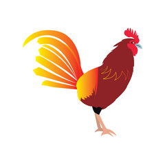 Isolated rooster on a white background, Vector illustration