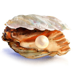 Open oyster shell with beautiful white pearl isolated, watercolor illustration